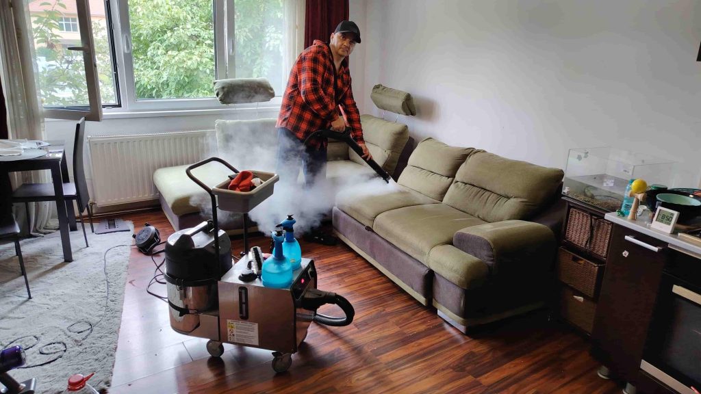 in timp ce clean spot oradea curata cu aburi o canapea