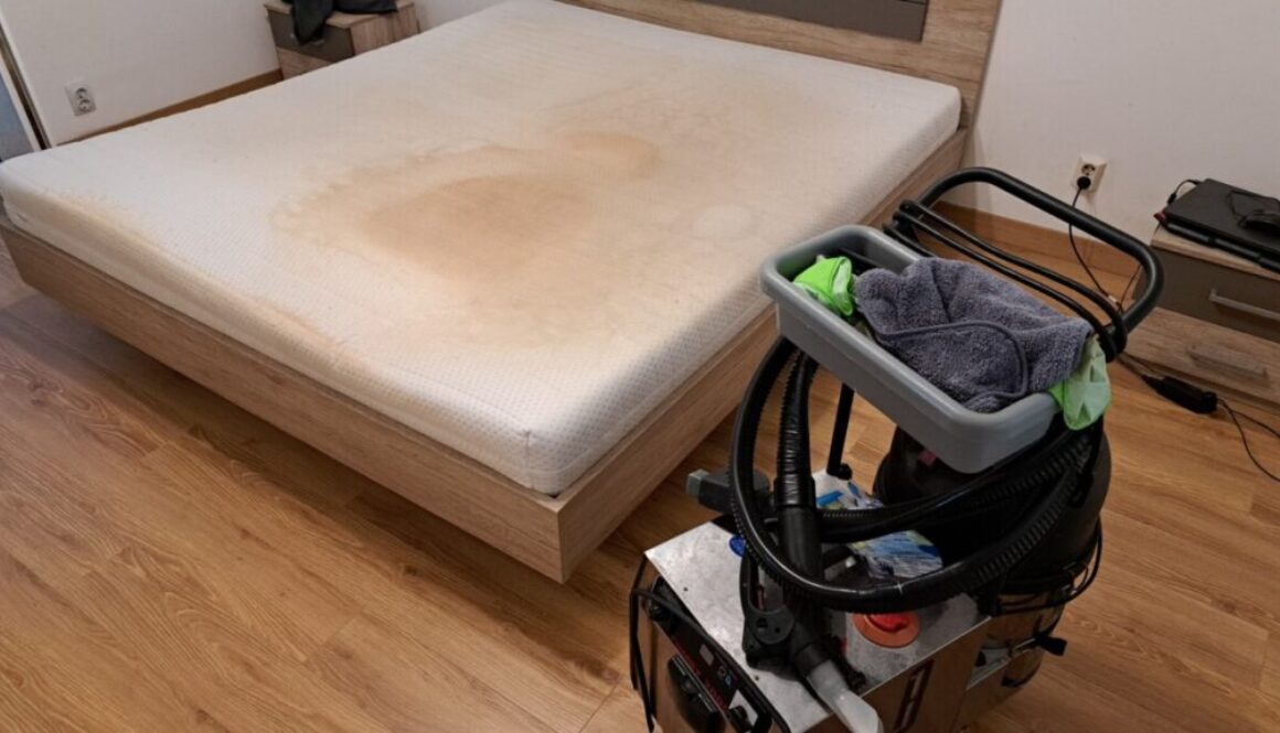 curatatorie spalatorie pentru tapiterii cu aburi in oradea cleanspot