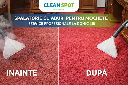 spalatorie cu aburi pentru mochete covoare la domiciliu in oradea cleanspot