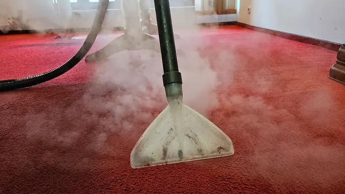in timpul curatarii cu aburi a unei mochete in oradea cleanspot