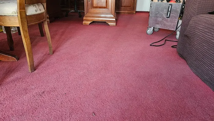 inainte de curatare spalare si igienizare mochete in oradea cleanspot