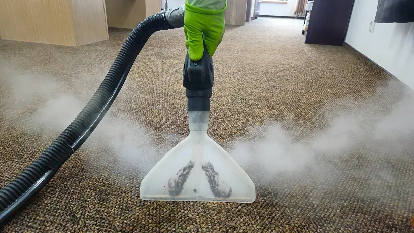 igienizare spalare si curatare mochete covoare in oradea cleanspot