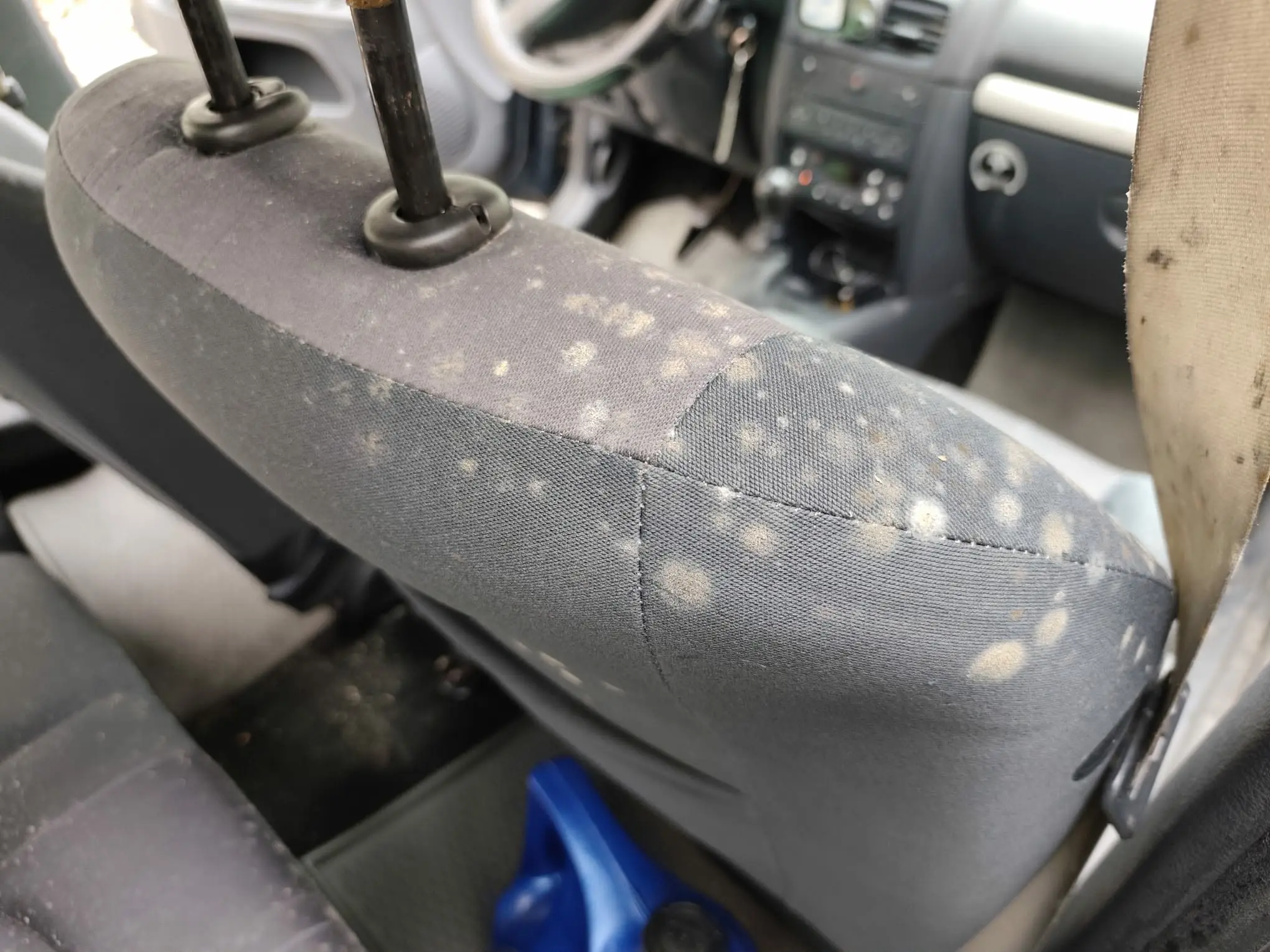 tapiterie auto cu mucegai Oradea înainte de igienizare profesională