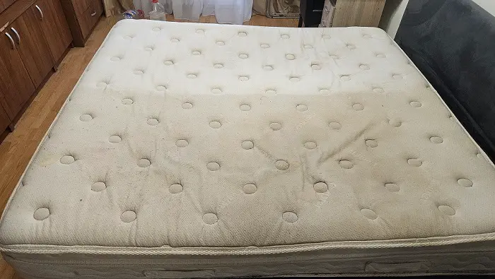 diferență curățare saltea Oradea zonă curată vs zonă murdară