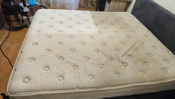 curățare saltea Oradea cu echipament profesional aburi și extracție