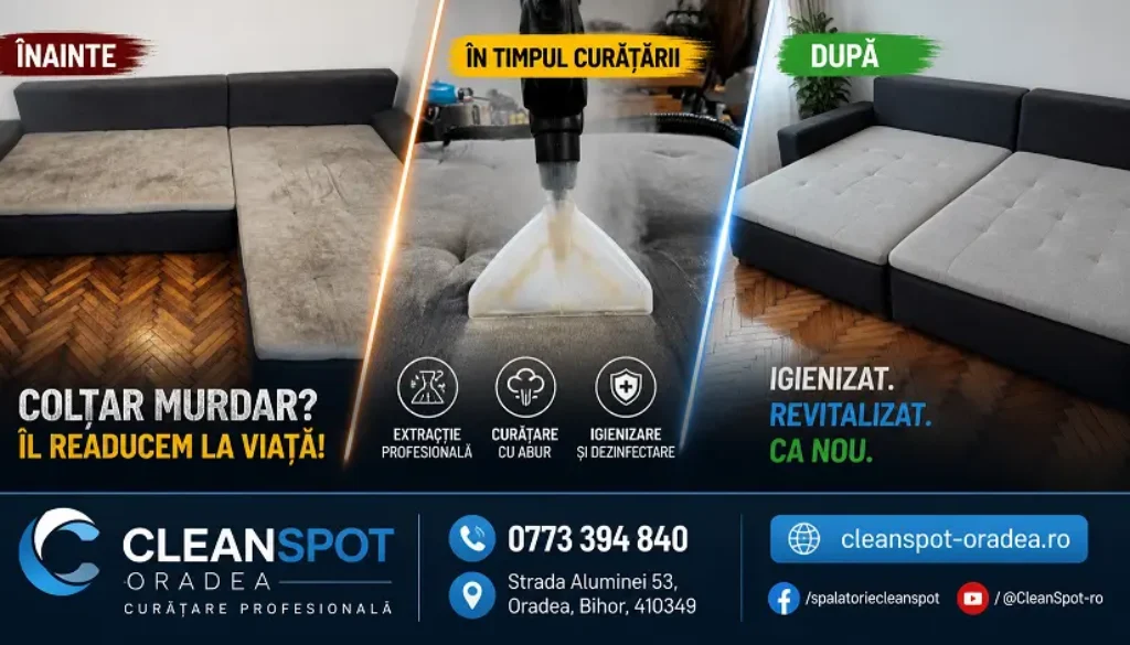 curatare-canapele-clean-spot-oradea-servicii