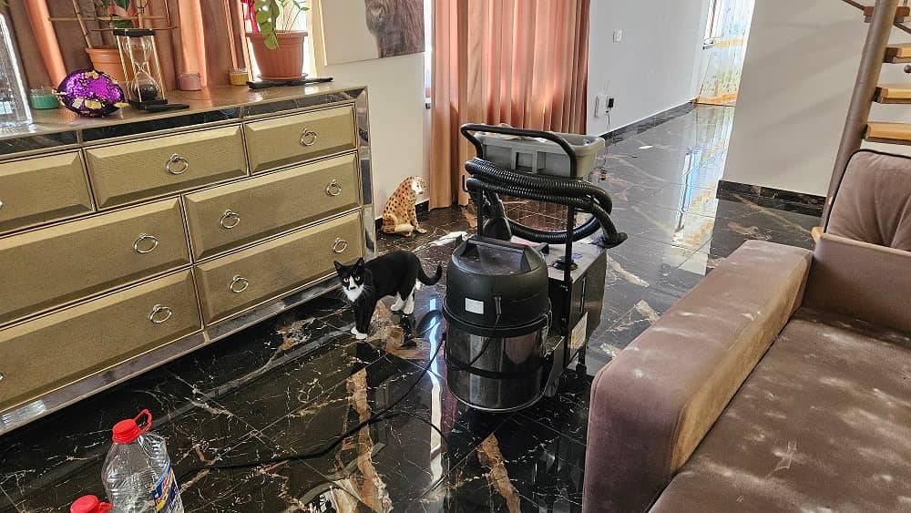 Igienizare canapea cu abur profesional în Oradea realizată de CleanSpot
