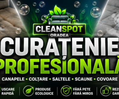 cleanspot oradea curatare spalare cu aburi igienizare tapiterie canapele saltele fotolii mochete scaune si fotolii la domiciliu