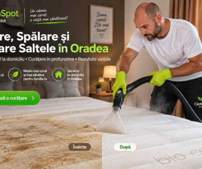 curatare saltele oradea spalare igienizare saltea la domiciliu spalatorie curatatorie cu aburi cleanspot