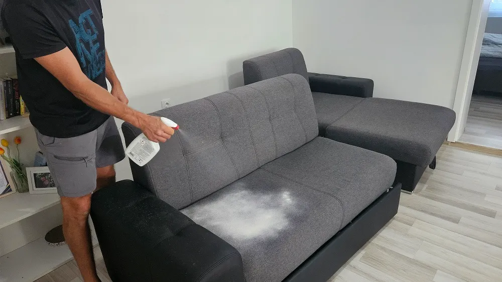Tratament pentru miros de urină de pisică pe canapea – Oradea